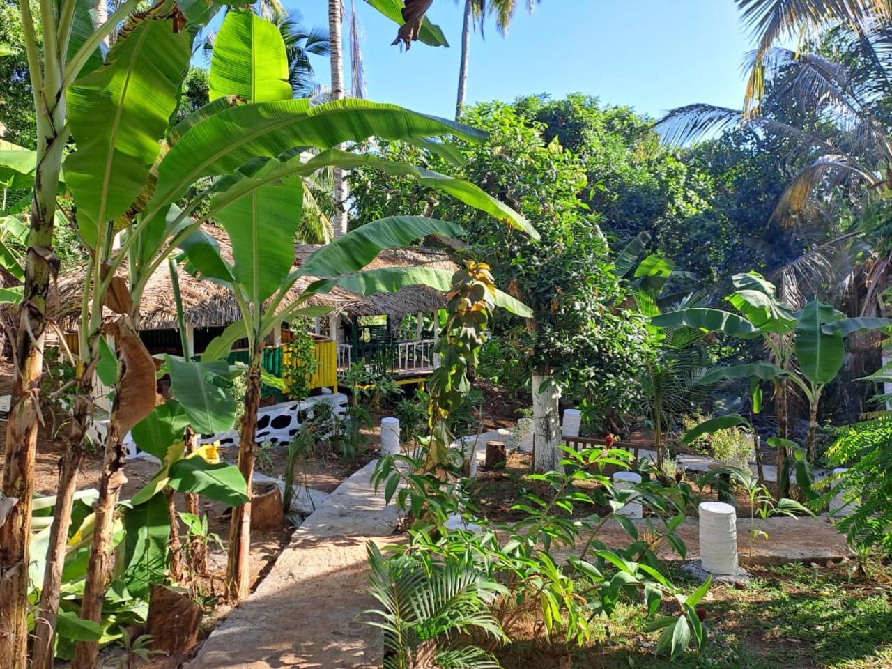 Le Chissioua Hotel Sada Exterior photo